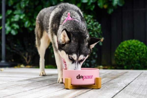 Dopaw Petfood NZ