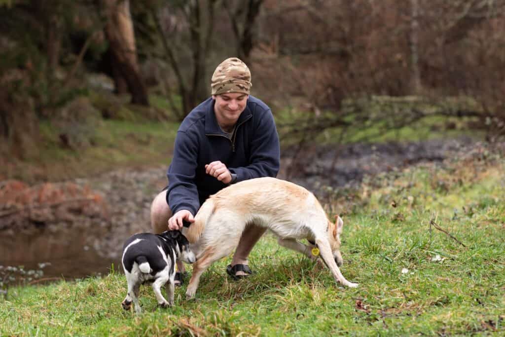 Dopaw 100% natural petfood