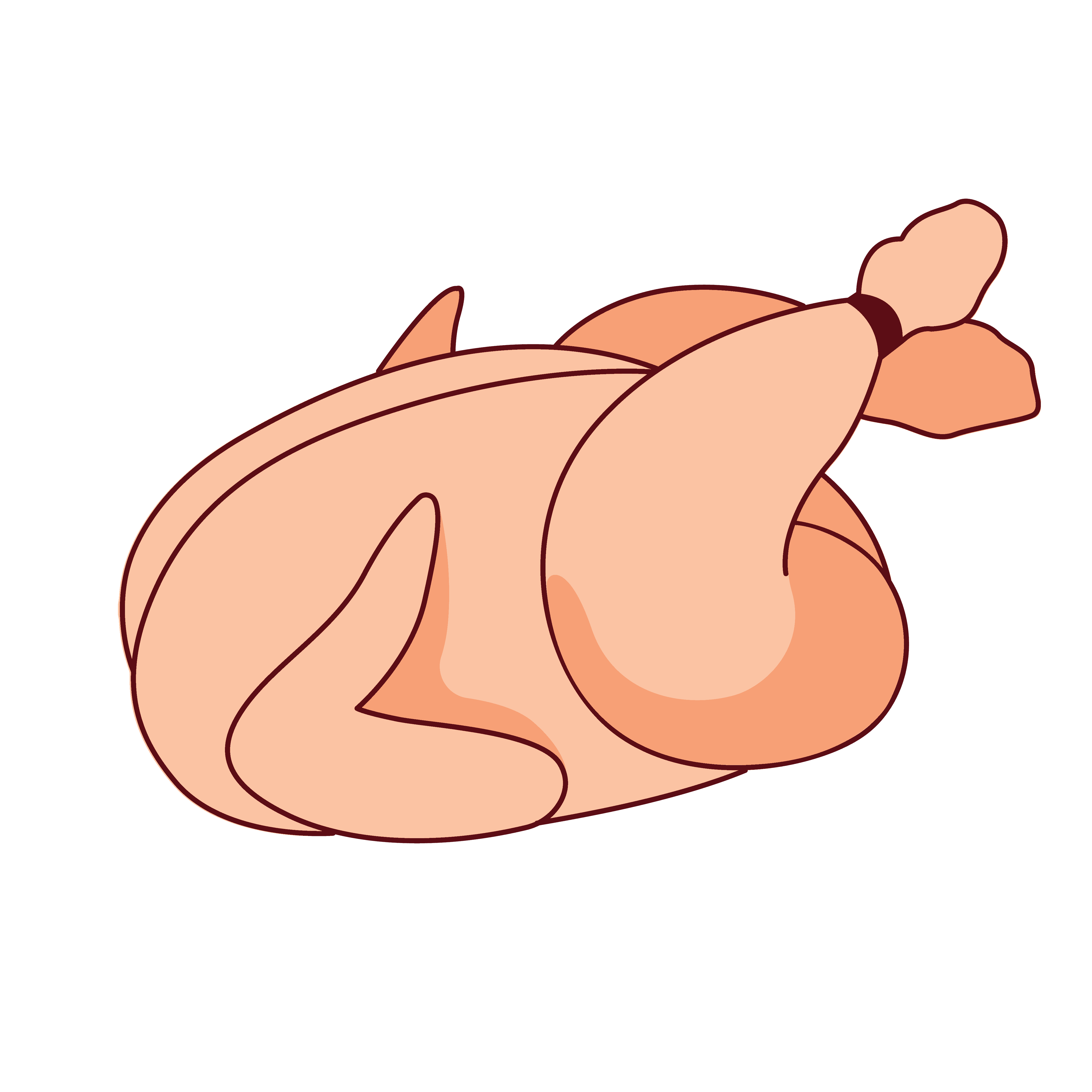 Dopaw raw dogfood NZ