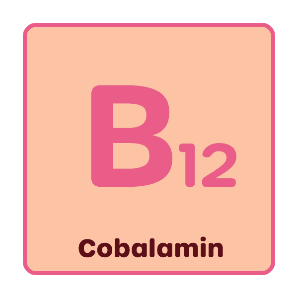 Dopaw puppy raw dogfood NZ