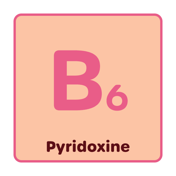 Dopaw puppy raw dogfood NZ