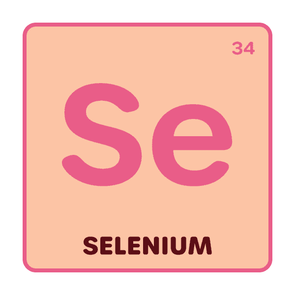 Dopaw puppy raw dogfood NZ