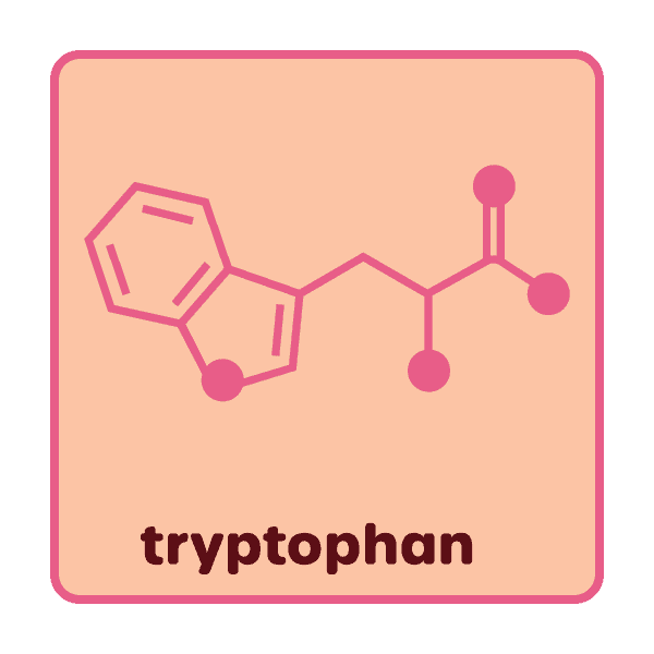 Dopaw puppy raw dogfood NZ