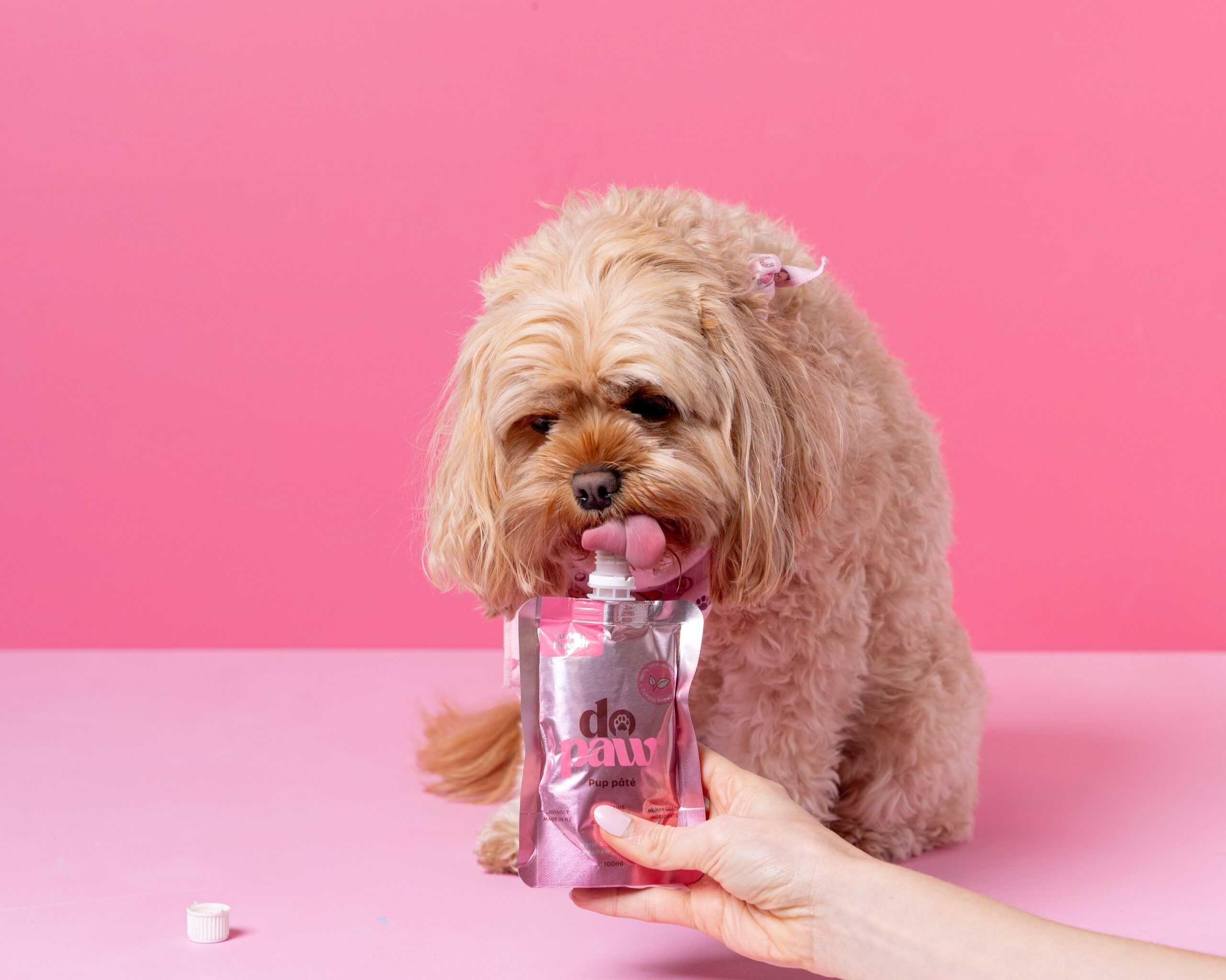 Pup Pâté - Image 4